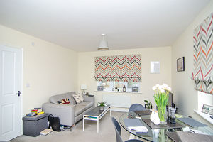 Photo 12- click for photo gallery